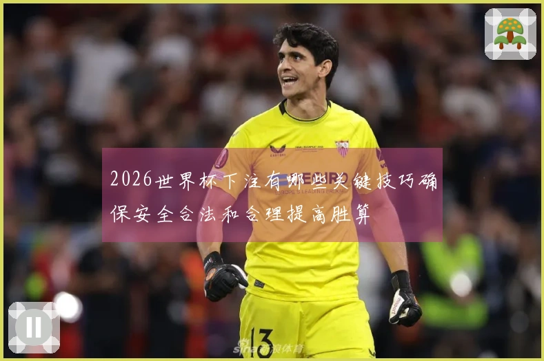 2026世界杯下注有哪些关键技巧确保安全合法和合理提高胜算