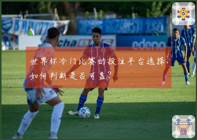 世界杯冷门比赛的投注平台选择，如何判断是否可靠？